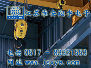 起重限制保護(hù)系統(tǒng)廠家江蘇淮安翔宇電子測控自動化起重機(jī)超載限制器 起重超載限制器保護(hù)系統(tǒng)安全可靠堅(jiān)固耐用 更多起重機(jī)起重限制器就在m.footweartaxi.com 電話0517-83321553